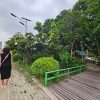 ขายที่ดิน 1ไร่ บางกระเจ้า ติดแม่น้ำเจ้าพระยา ตลาดน้ำบางน้ำผึ้ง 98 ซ.เพชรหึงษ์26 บัวผึ้งพัฒนา ติดต่อ/line 0619419639