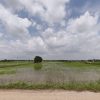ขายที่ดิน ที่นา พิษณุโลก อำเภอวังทอง 19 ไร่ สวยมาก วิวนาสวย อากาศดี เงียบสงบ โทร 063-2825635